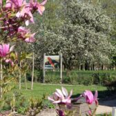 expo_jardin_Cantin_redim expo_jardin_Cantin_redim